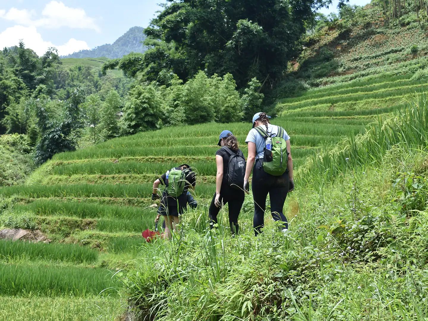 Sapa Hiking Tour