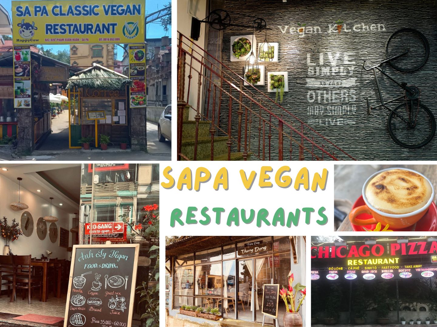 Explore diverse flavors at Sapa vegan restaurant