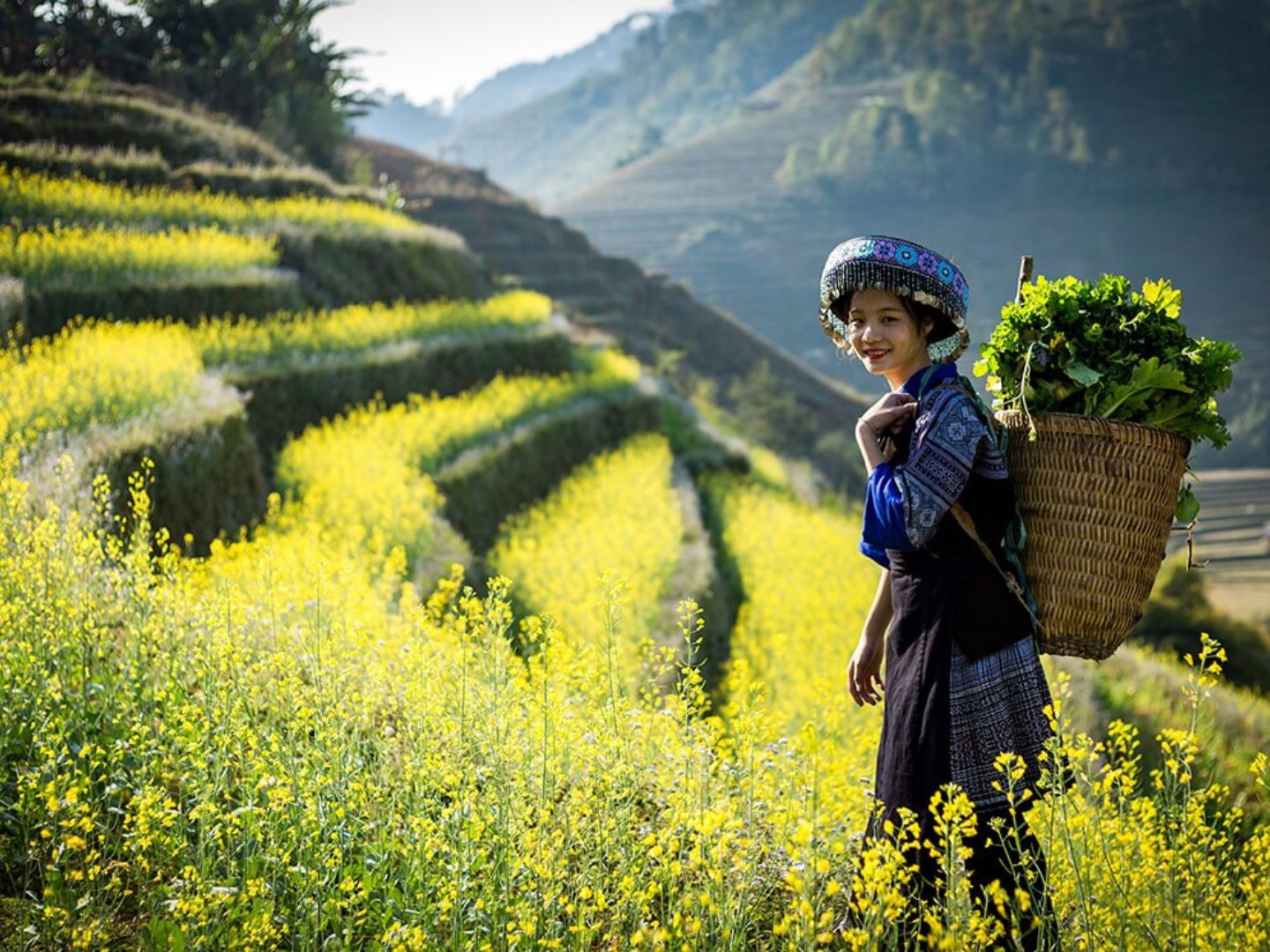 Sapa Vietnam weather November | Sapa Nomad