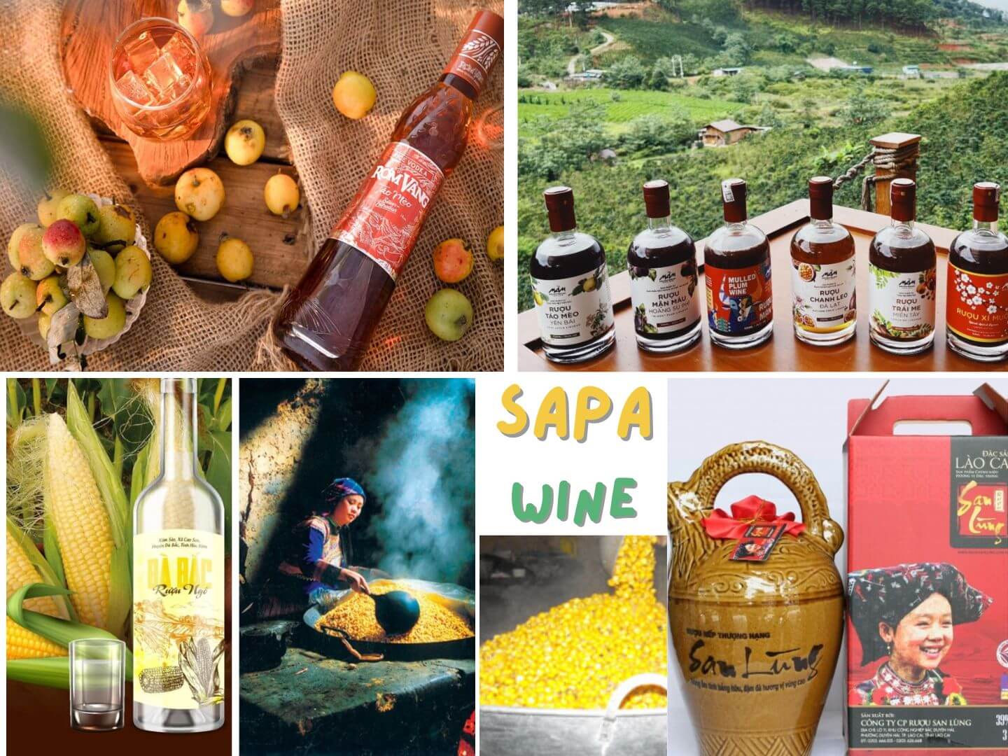 Discover the rich flavors of Sapa wine