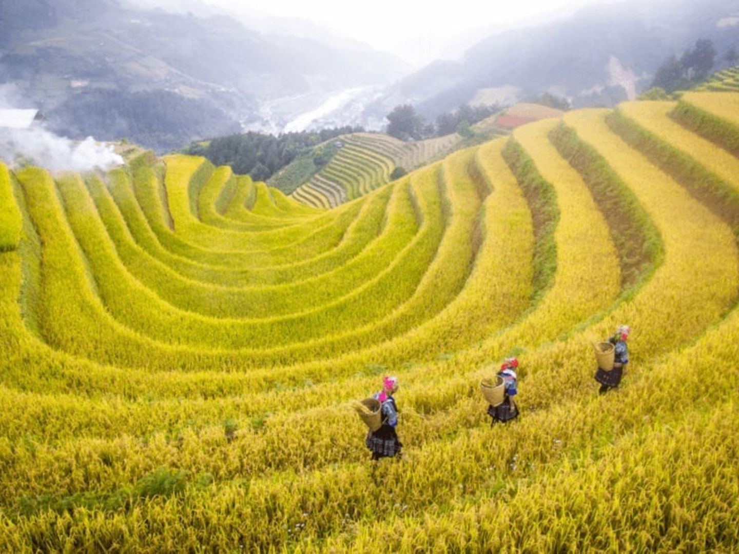 The beautiful spots in Sapa in July