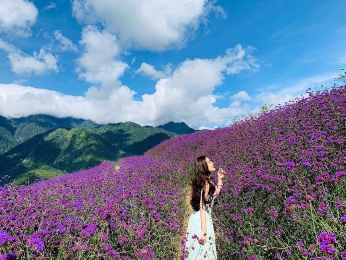 Sapa in June is gorgeous and captivates tourists