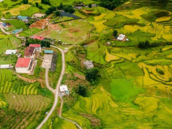 Sapa in August: Painting Sapa’s Hills with Vibrant Life