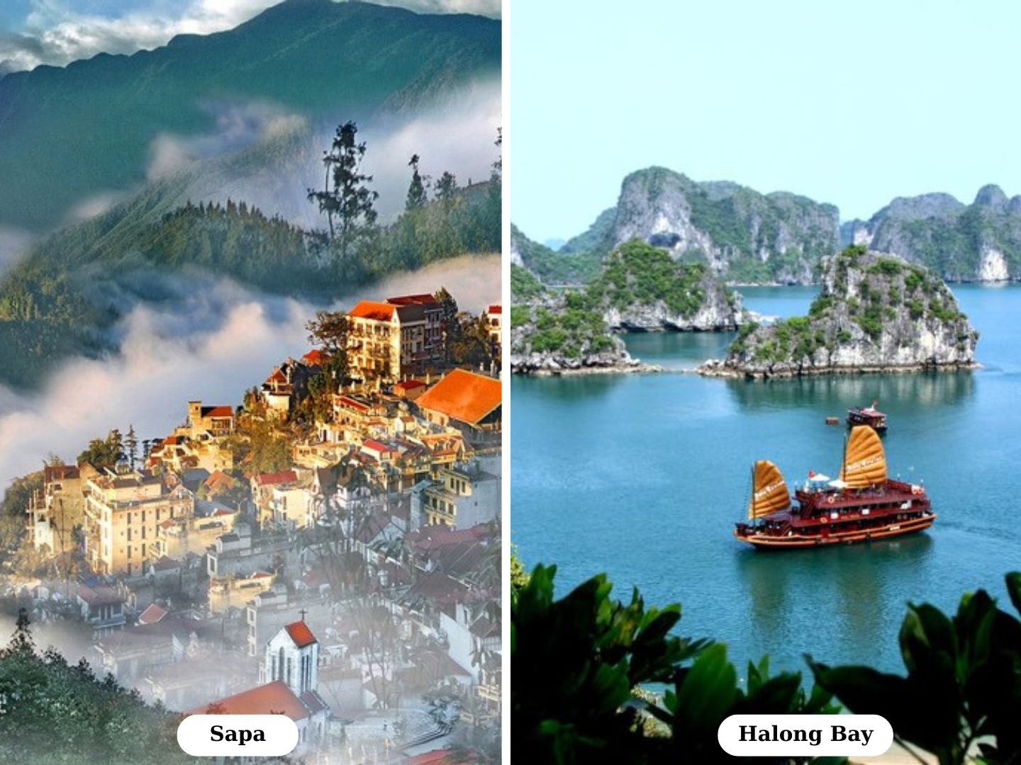 Sapa or Ha Long Bay