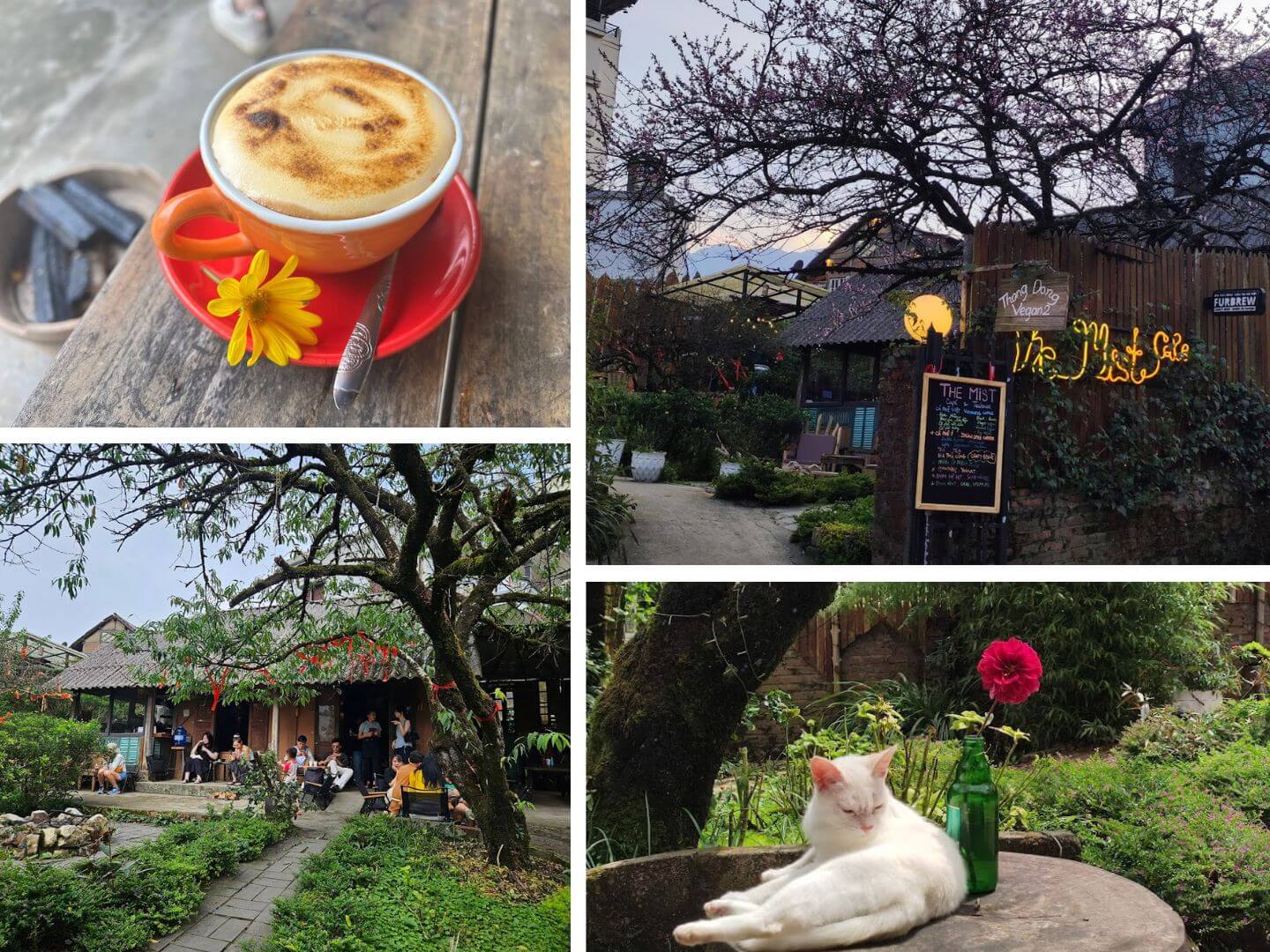 A peaceful escape at The Mist Cafe Sapa