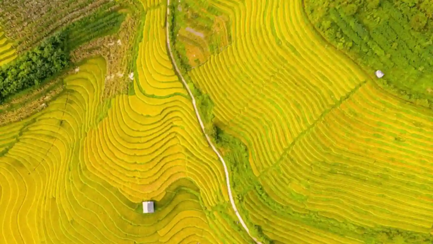 What To Do In Sapa Vietnam For Free? 15 Fun and Free Activities! 33 What-to-do-in-Sapa-Vietnam-for-free-1