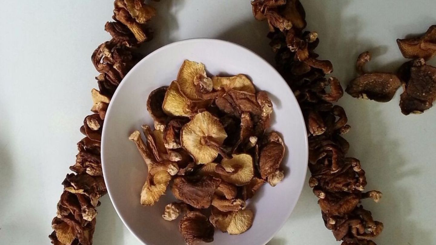 What to Buy in Sapa? 19+ Cheerful Authentic Travel Keepsakes 33 Wild Forest Mushrooms | Sapa Nomad