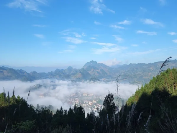bac ha 2 day private car tour from sapa 13 | Sapa Nomad