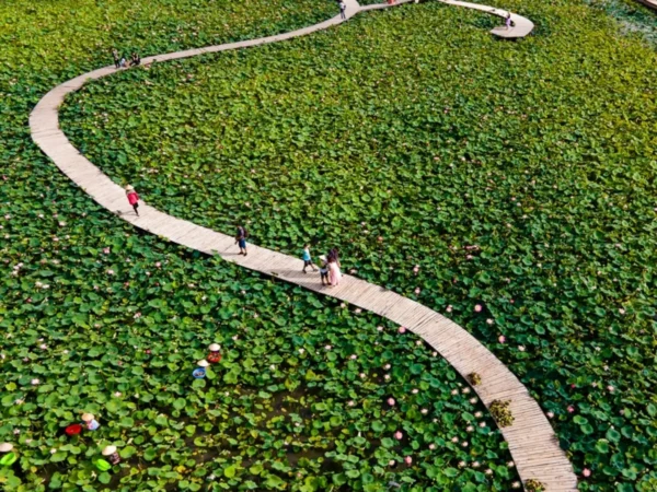 bai dinh trang an mua cave day tour 7 | Sapa Nomad