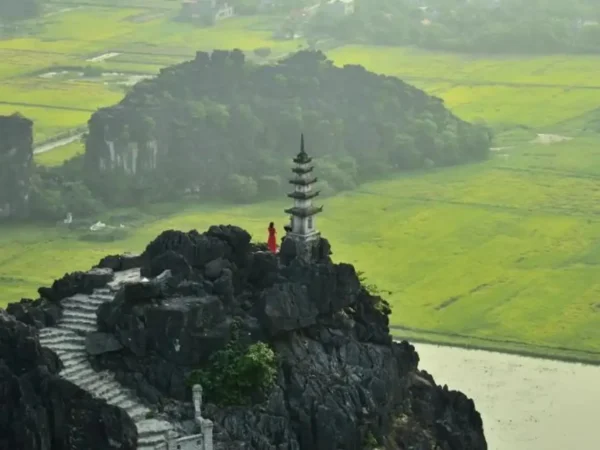 bai dinh trang an mua cave day tour 8 | Sapa Nomad