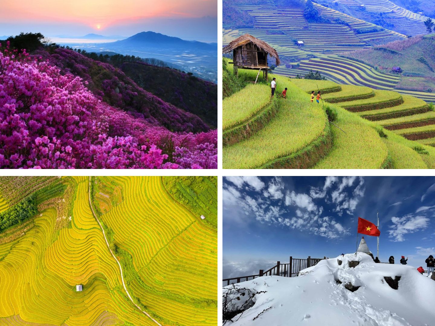 best time to visit Sapa