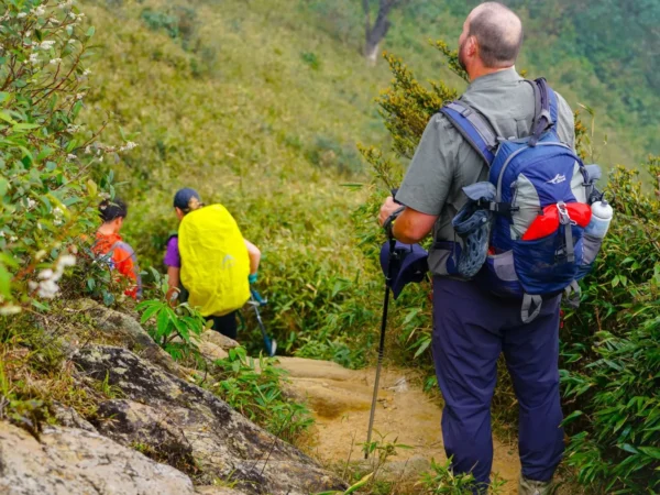 1 Day Hike Fansipan from Sapa by Sapa Nomad