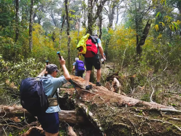 1 Day Hike Fansipan from Sapa by Sapa Nomad