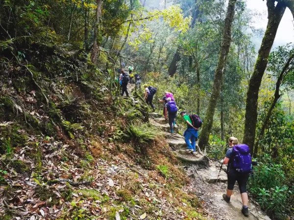1 Day Hike Fansipan from Sapa by Sapa Nomad