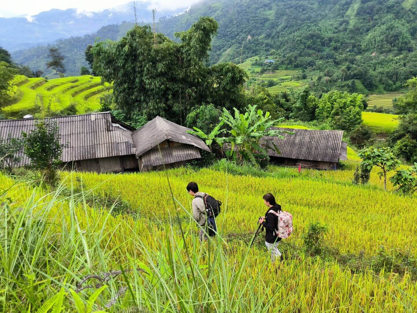 The Sapa Trekking in March