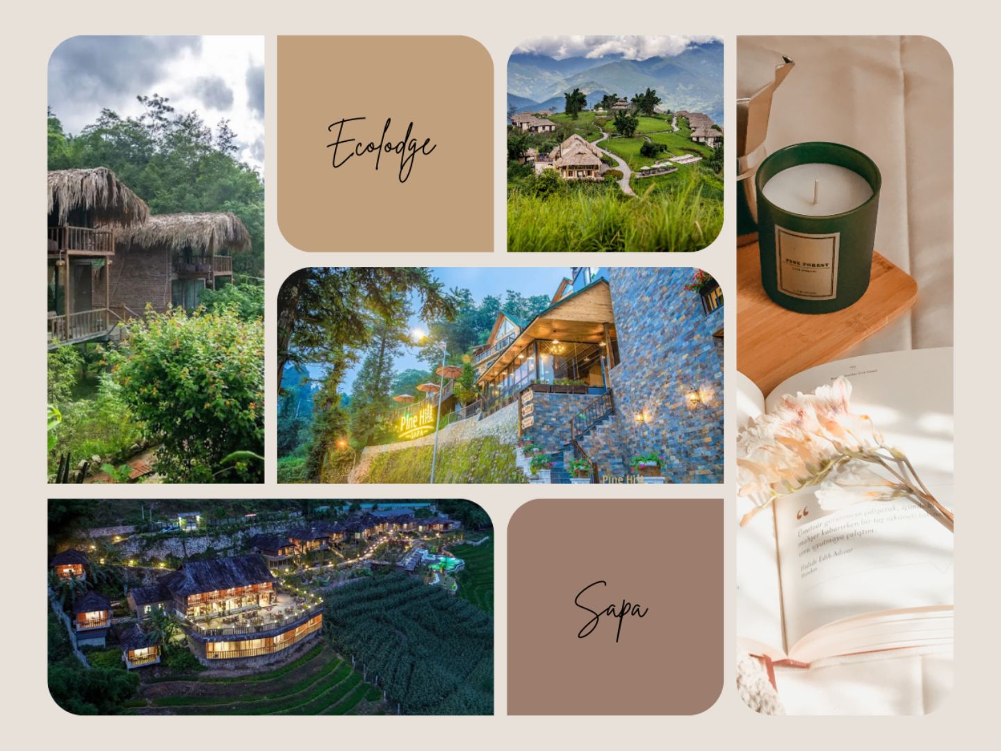 Ecolodge Sapa offers a peaceful mountain retreat