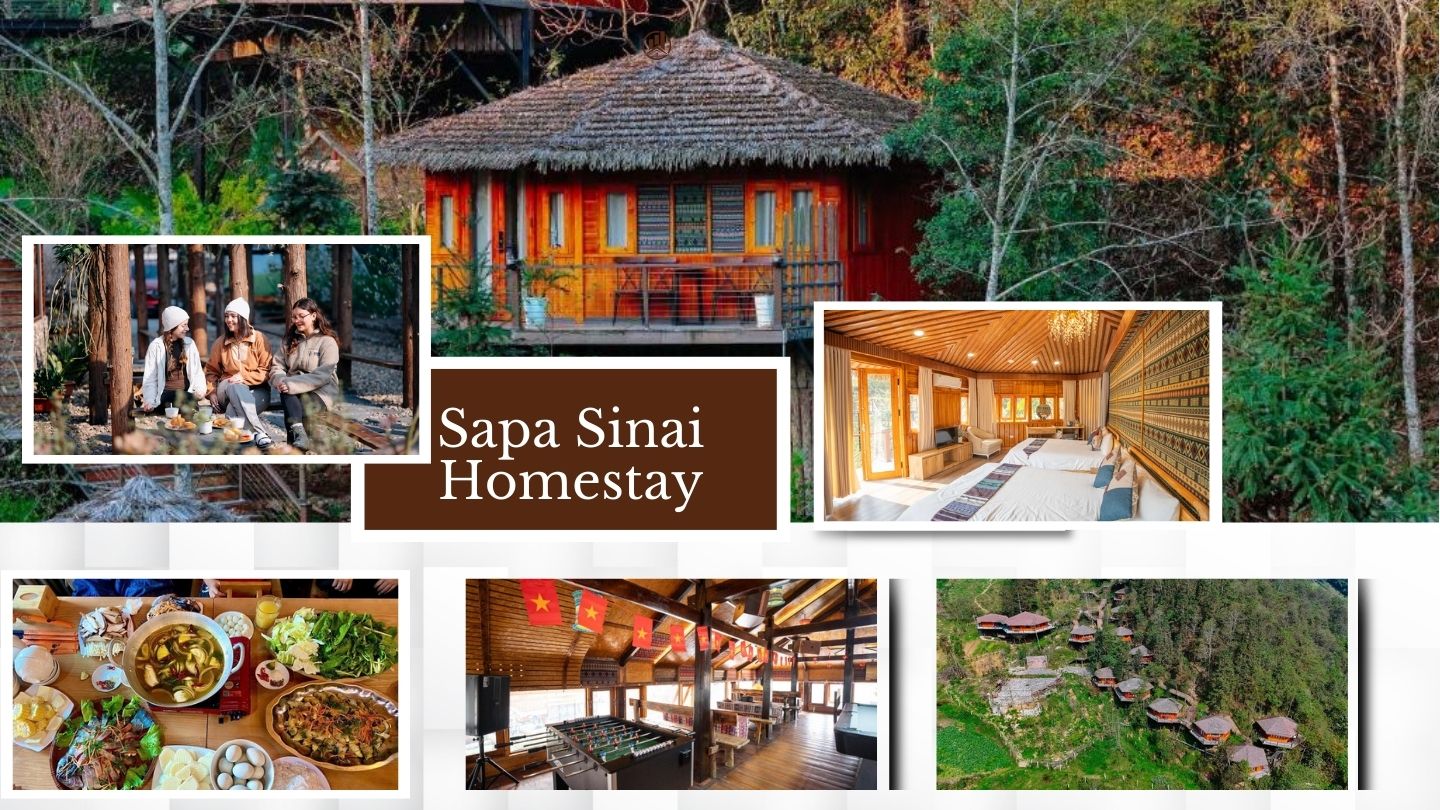 Sapa Sinai Homestay