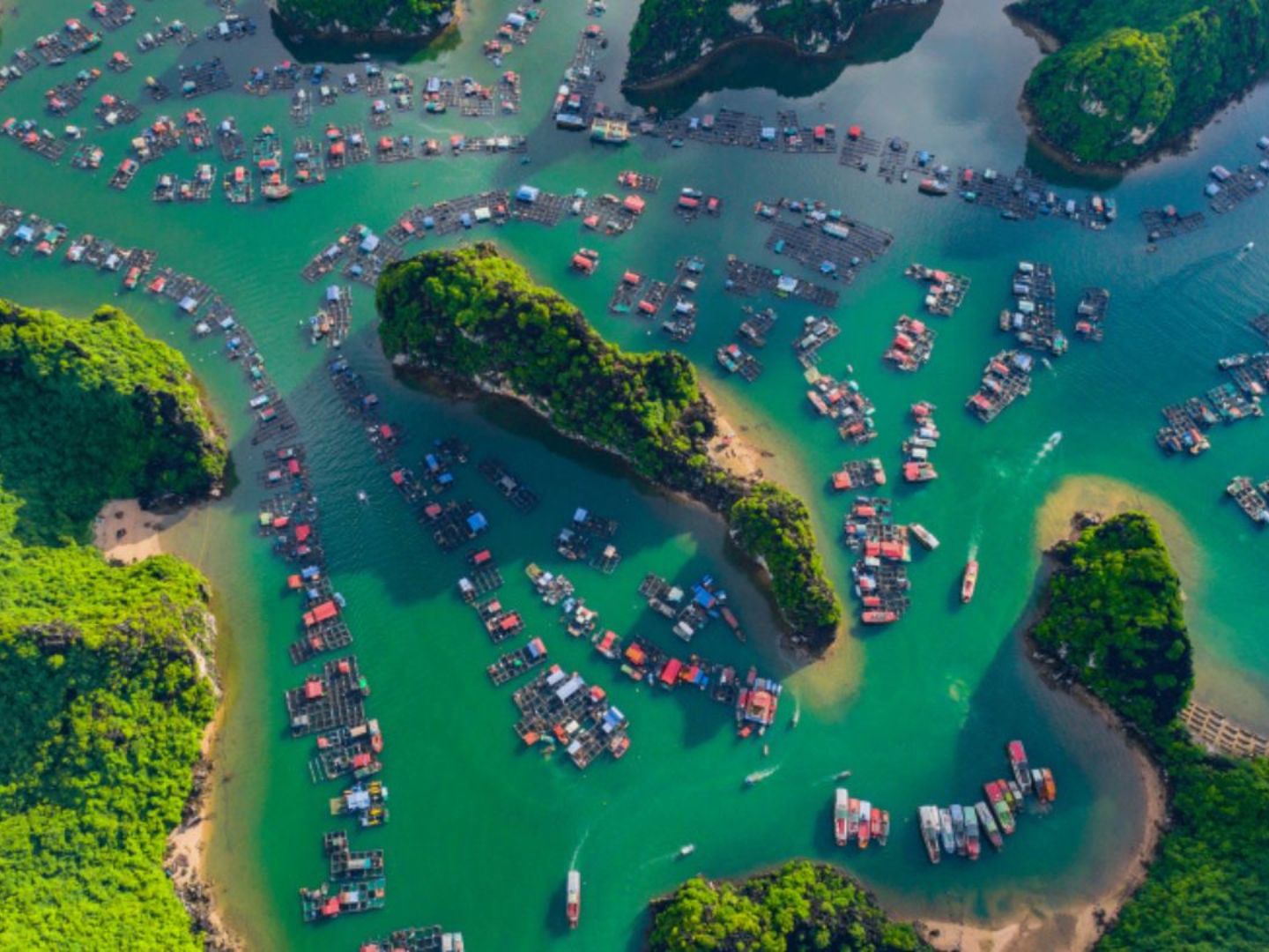 find-out-when-to-visit-Halong-Bay