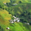 Half-Day Trekking Tour to Cat Cat - Y Linh Ho Village