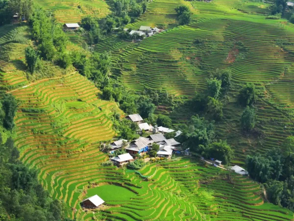 Half-Day Trekking Tour to Cat Cat - Y Linh Ho Village