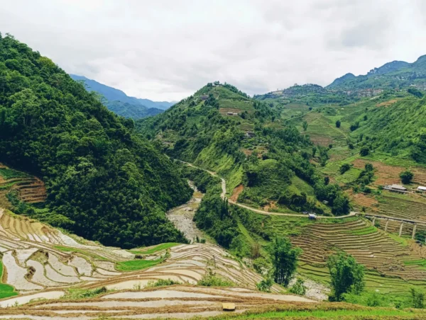half day trek to cat cat y linh ho village 4 | Sapa Nomad