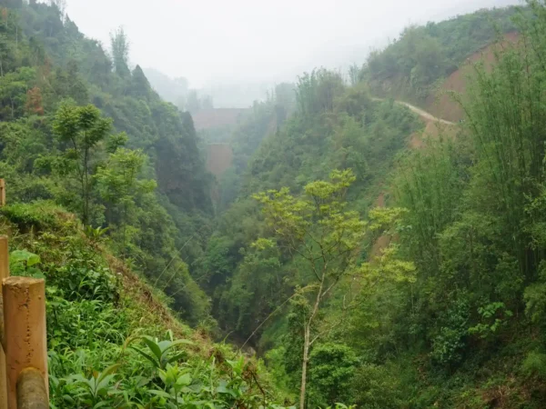 half day trek to cat cat y linh ho village 6 | Sapa Nomad