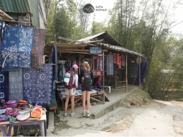 Alternative view of 3D2N Ninh Binh-Sapa| Trang An Complex & Sapa Check Points