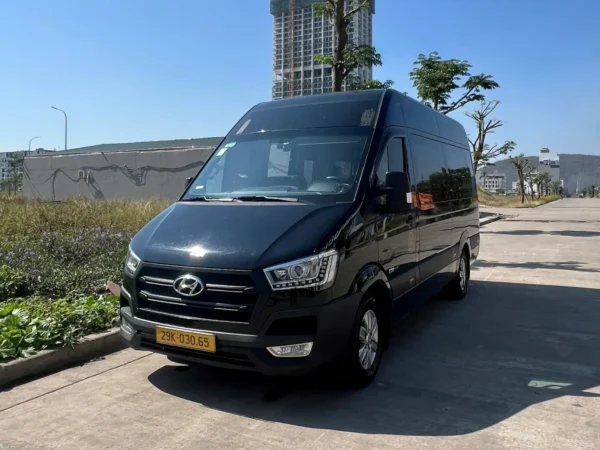 hanoi to ninh binh private limousine 6 | Sapa Nomad
