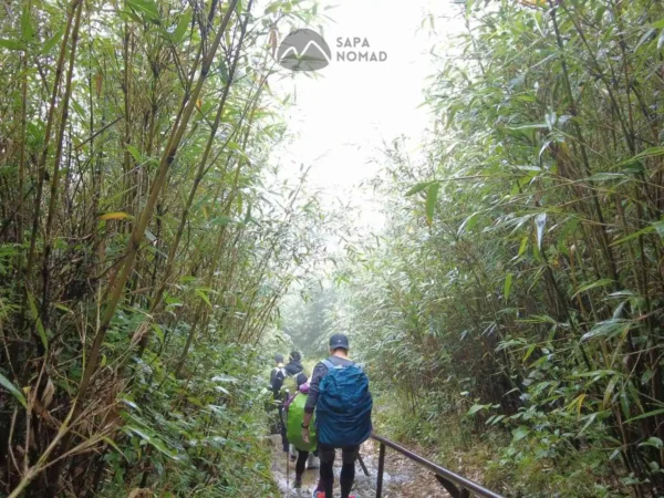 Alternative view of 2D1N Fansipan Hike From Sapa with Local Trekking Expert