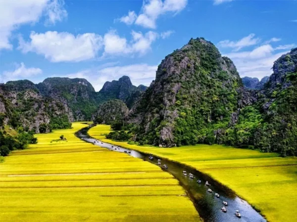 hoa lu tam coc day tour 4 | Sapa Nomad