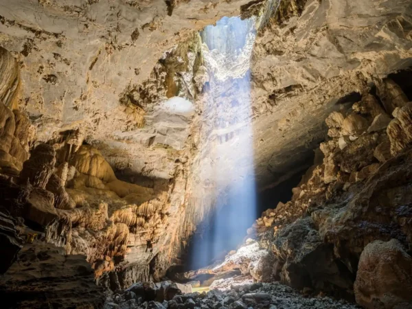 phong nha cave and paradise cave tour 11 | Sapa Nomad