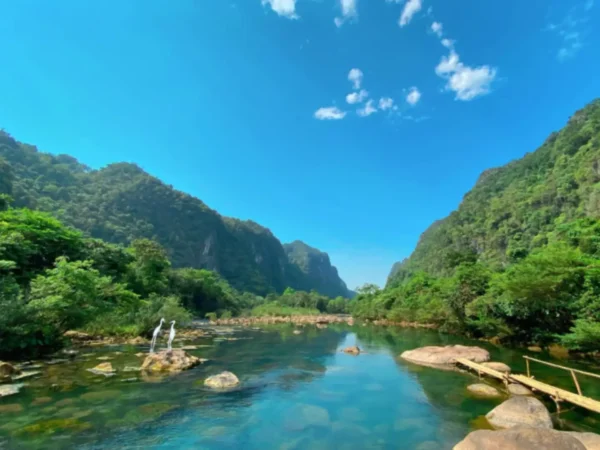 Phong Nha Cave & Mooc Spring - 1 Day Nature Escape from Dong Hoi