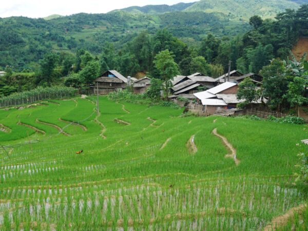 sapa 1 day hideaway motorbike tour 2 | Sapa Nomad
