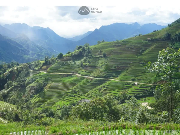1-Day Sapa Motorbike Tour (MT1) with Local Expert