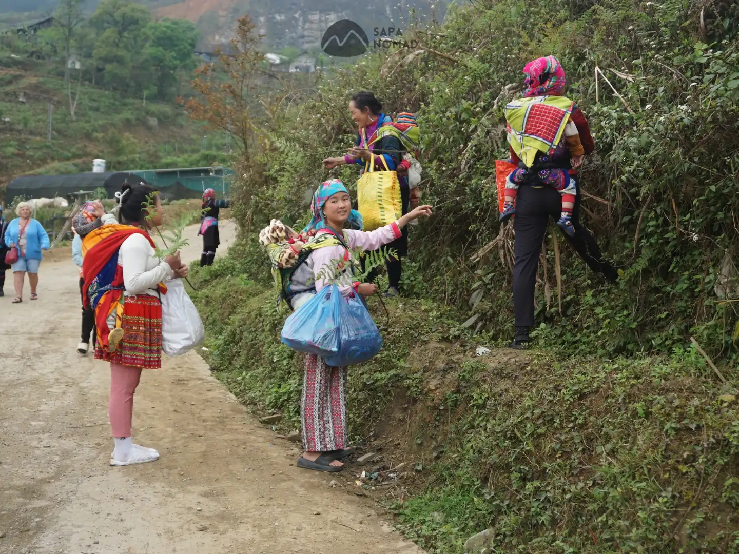 1-Day Sapa Motorbike Tour – O Quy Ho Pass to Ta Giang Phinh (MT3) 9 1-Day Sapa Motorbike Tour – O Quy Ho Pass to Ta Giang Phinh (MT3) - Image 7