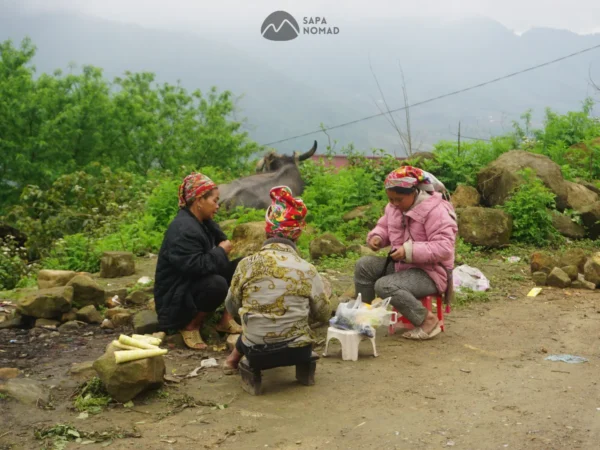 1-Day Sapa Motorbike Tour – O Quy Ho Pass to Ta Giang Phinh (MT3)