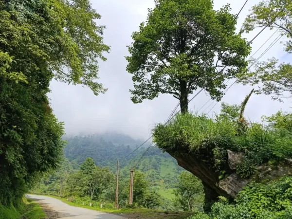 sapa motorbike tour 1 day o quy ho ta giang phinh 2 1 | Sapa Nomad
