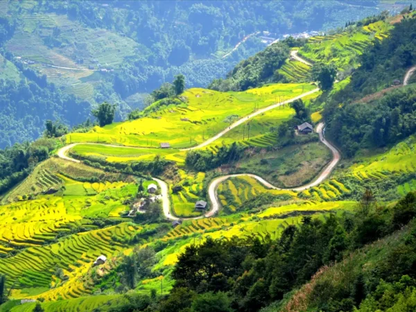 sapa motorbike tour y ty lao cai 3 day 2 night 1 | Sapa Nomad
