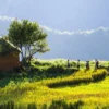 3D2N Sapa Vietnam Motorbike Tour to Y Ty (MT4) – Remote Villages & Mountain Adventure