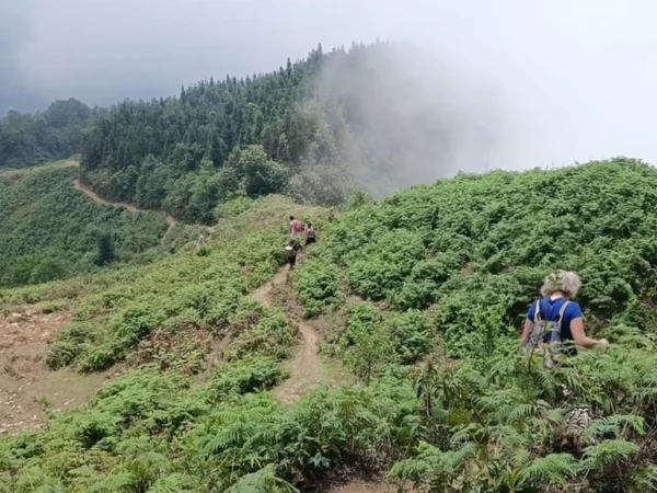 trekking tour dragon jaw lao chai 3 | Sapa Nomad