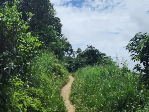 trekking tour dragon jaw lao chai 4 | Sapa Nomad