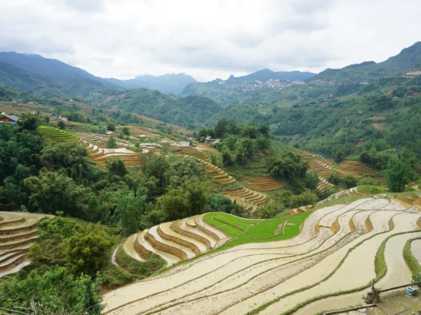 trekking tour dragon jaw lao chai 6 | Sapa Nomad