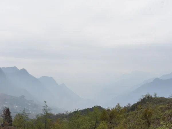 trekking tour dragon jaw lao chai 7 | Sapa Nomad