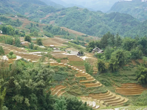 trekking tour dragon jaw lao chai 8 | Sapa Nomad